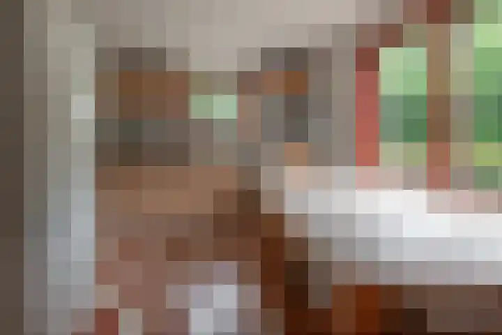 Esschertsweg 4 Epe thumbnail 29
