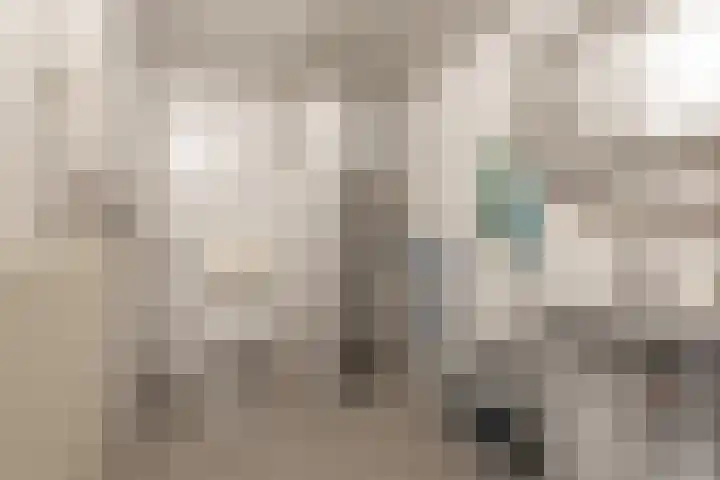 Esschertsweg 4 Epe thumbnail 33