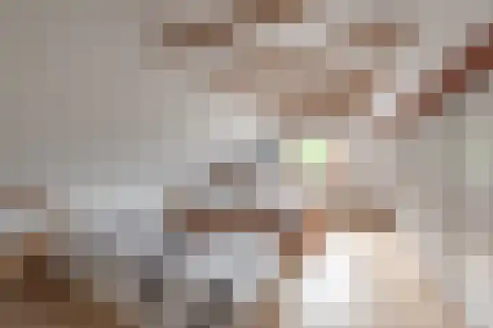Esschertsweg 4 Epe thumbnail 35