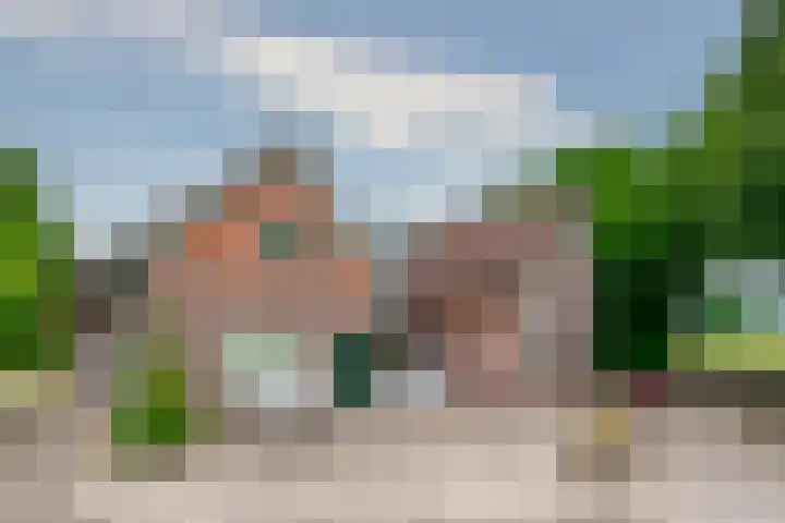 Esschertsweg 4 Epe thumbnail 36