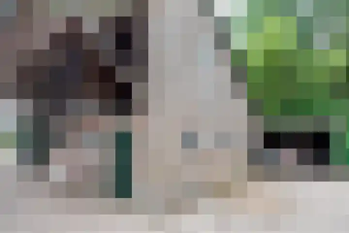 Esschertsweg 4 Epe thumbnail 37