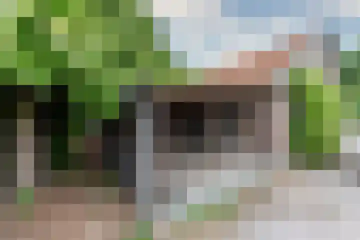 Esschertsweg 4 Epe thumbnail 39