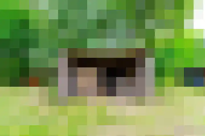 Esschertsweg 4 Epe thumbnail 40
