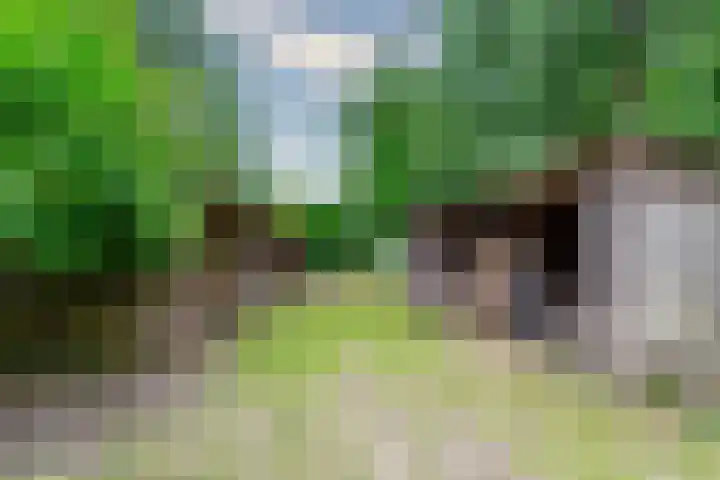 Esschertsweg 4 Epe thumbnail 41