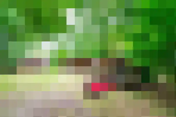 Esschertsweg 4 Epe thumbnail 42