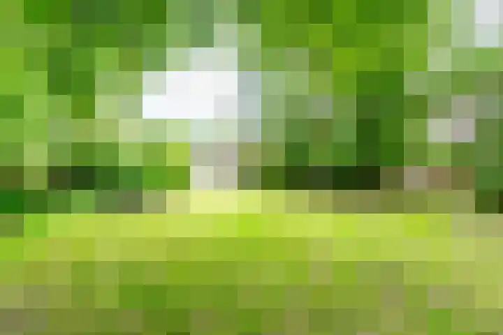 Esschertsweg 4 Epe thumbnail 43