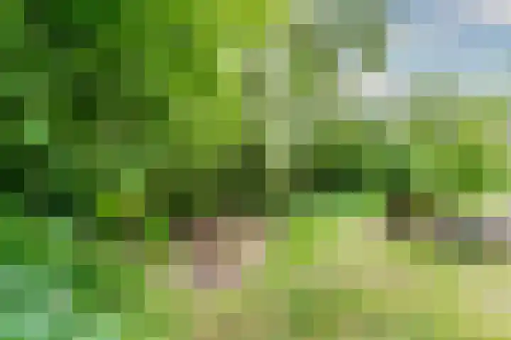 Esschertsweg 4 Epe thumbnail 44