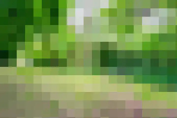 Esschertsweg 4 Epe thumbnail 45