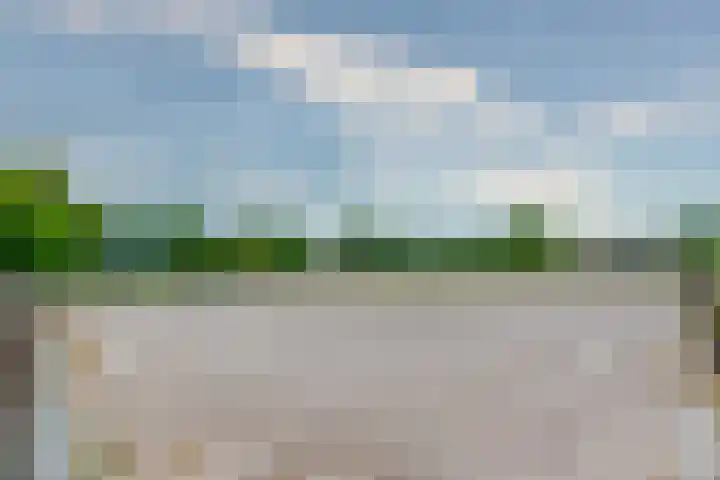Esschertsweg 4 Epe thumbnail 46