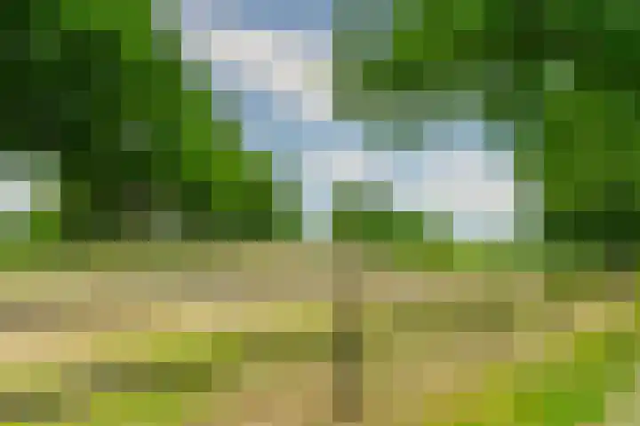 Esschertsweg 4 Epe thumbnail 47