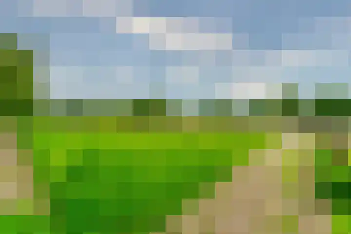 Esschertsweg 4 Epe thumbnail 48