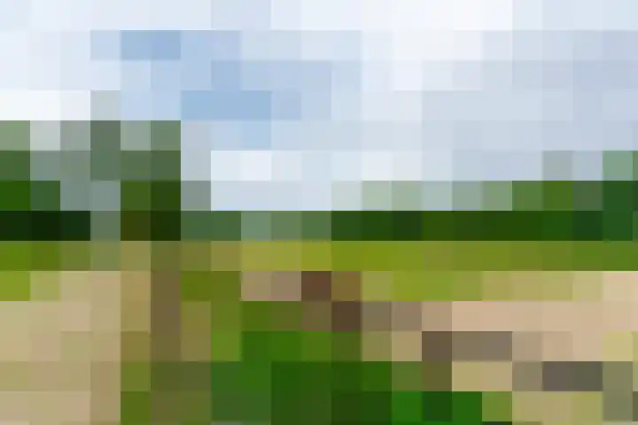 Esschertsweg 4 Epe thumbnail 49