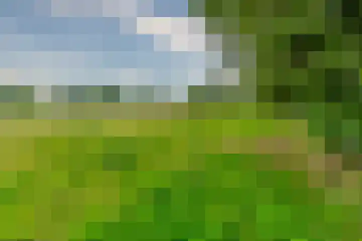 Esschertsweg 4 Epe thumbnail 50