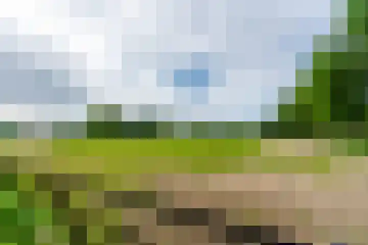 Esschertsweg 4 Epe thumbnail 51