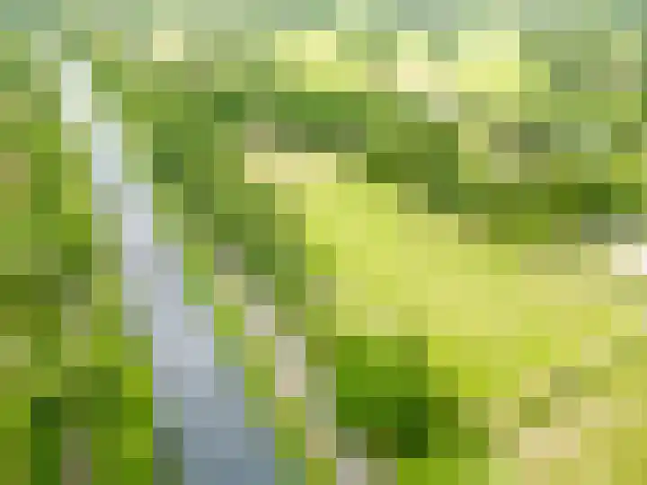 Esschertsweg 4 Epe thumbnail 52
