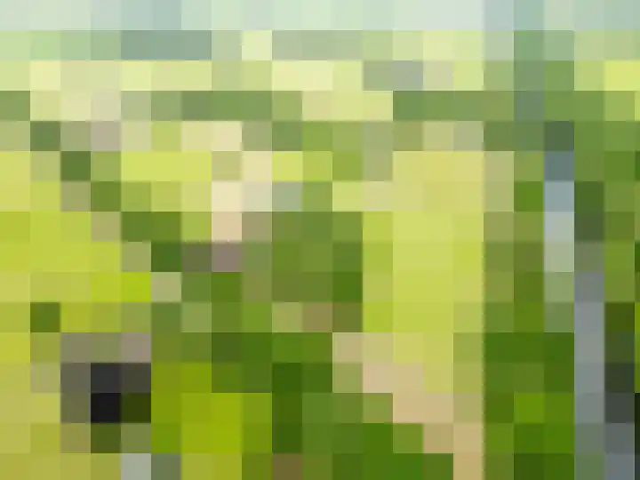 Esschertsweg 4 Epe thumbnail 53