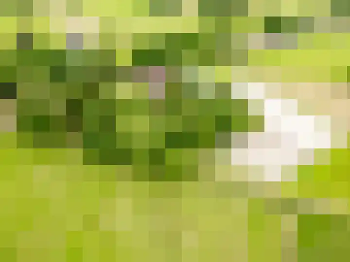 Esschertsweg 4 Epe thumbnail 54