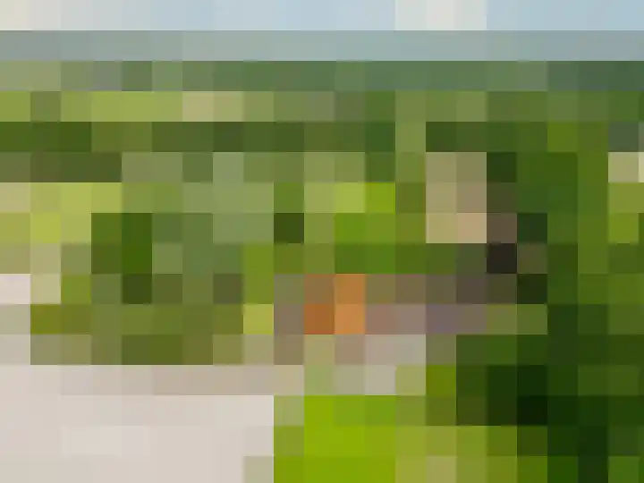 Esschertsweg 4 Epe thumbnail 6