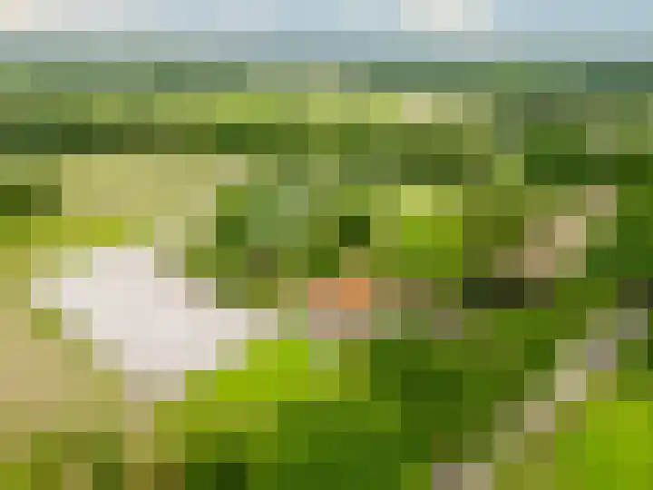 Esschertsweg 4 Epe thumbnail 7