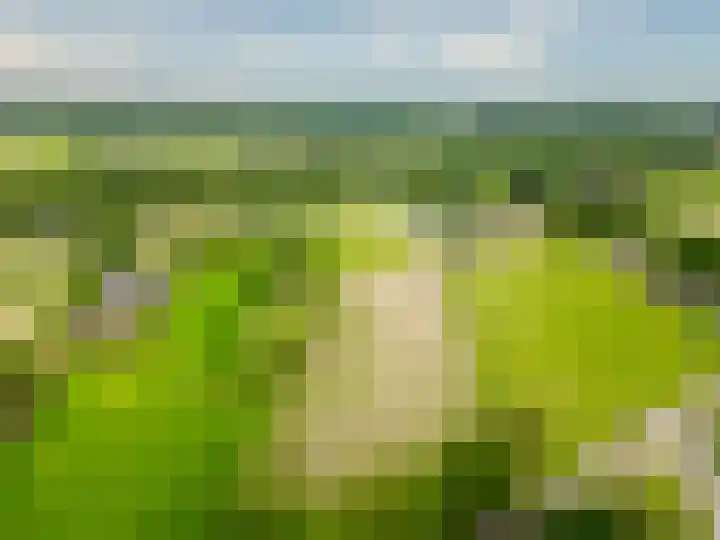 Esschertsweg 4 Epe thumbnail 8