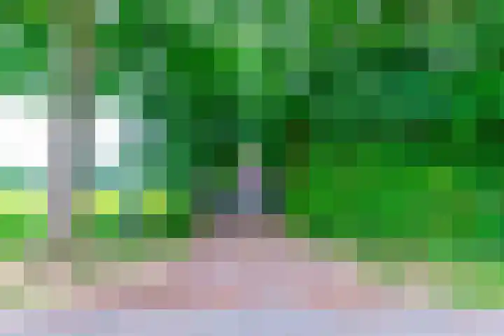 Esschertsweg 4 Epe thumbnail 9