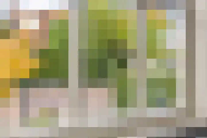 Esschestraat 107 Vught thumbnail 17