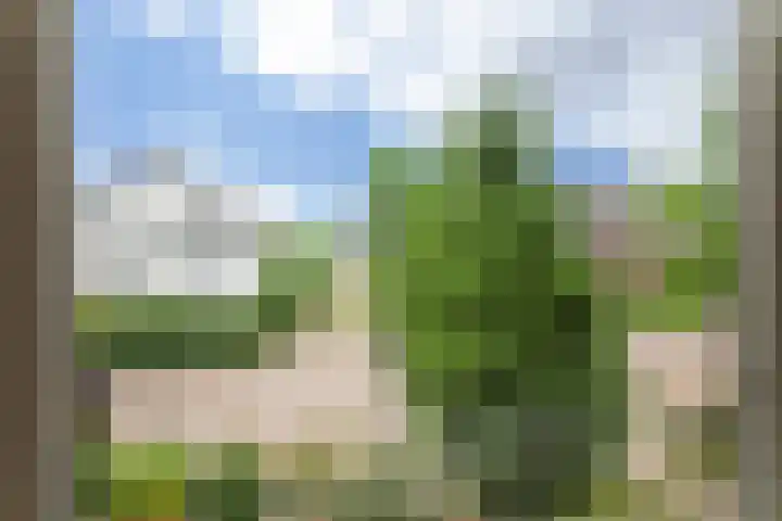 Esschestraat 76 Vught thumbnail 27