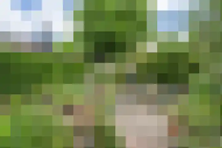 Esschestraat 76 Vught thumbnail 33
