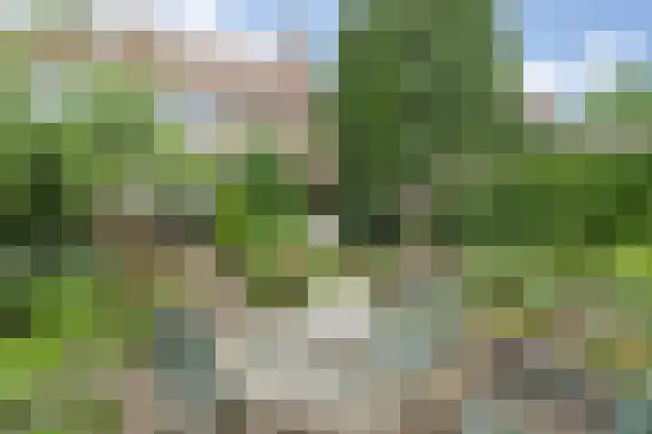 Esschestraat 76 Vught thumbnail 36