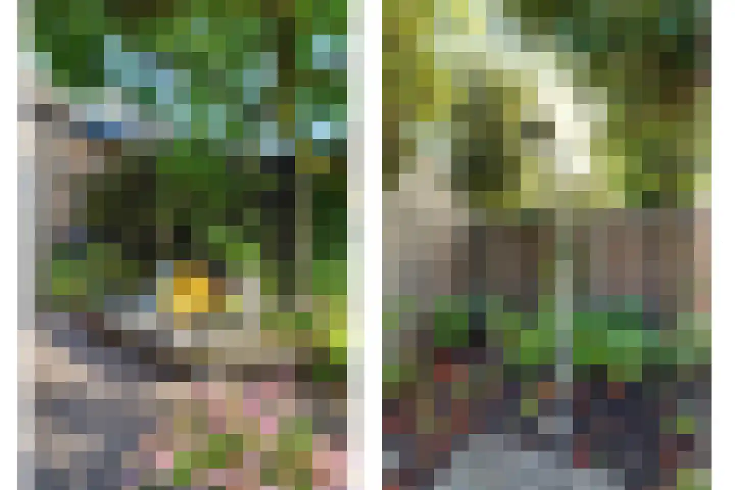 Esscheweg 141 Vught thumbnail 40