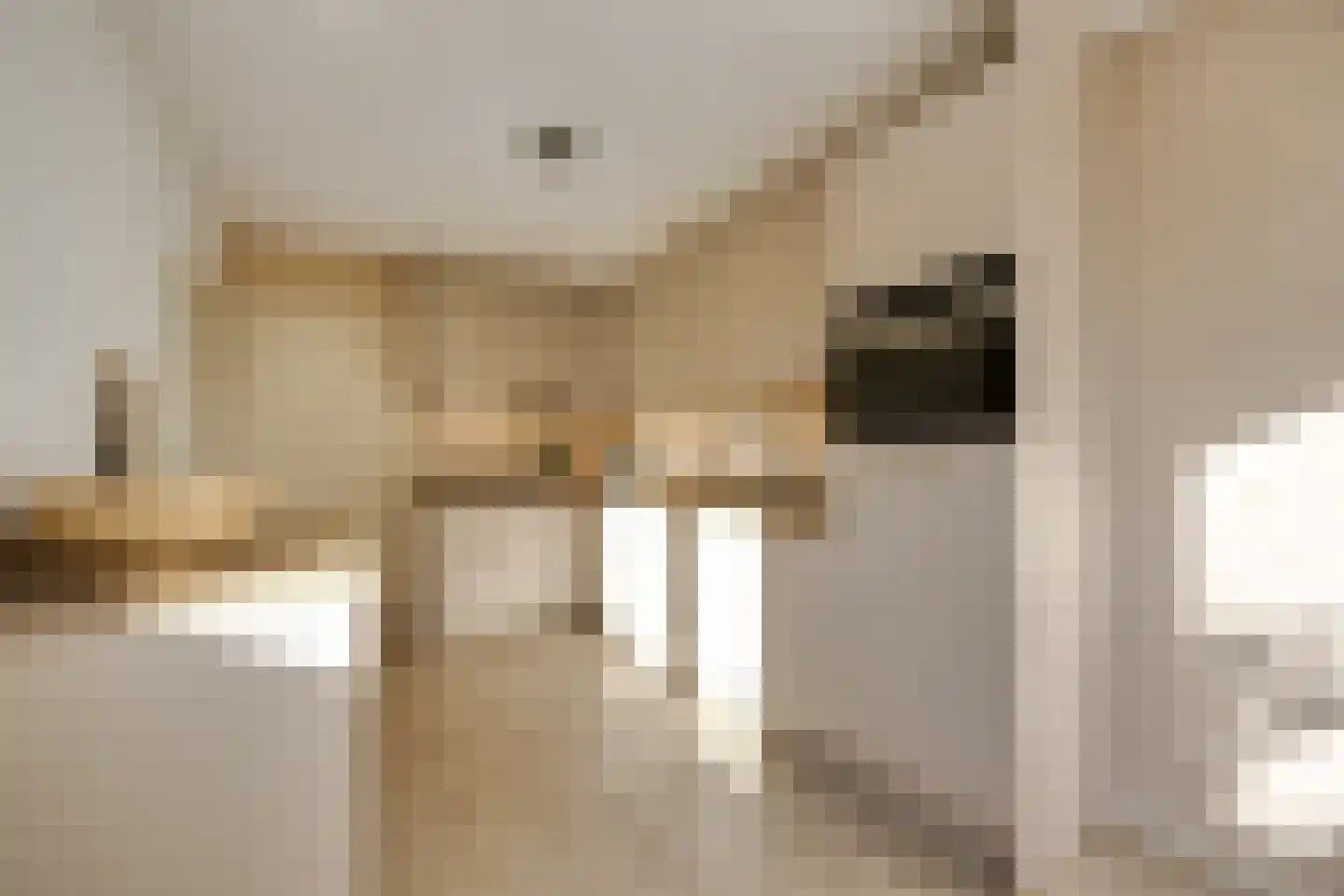 Esscheweg 145 Vught thumbnail 33
