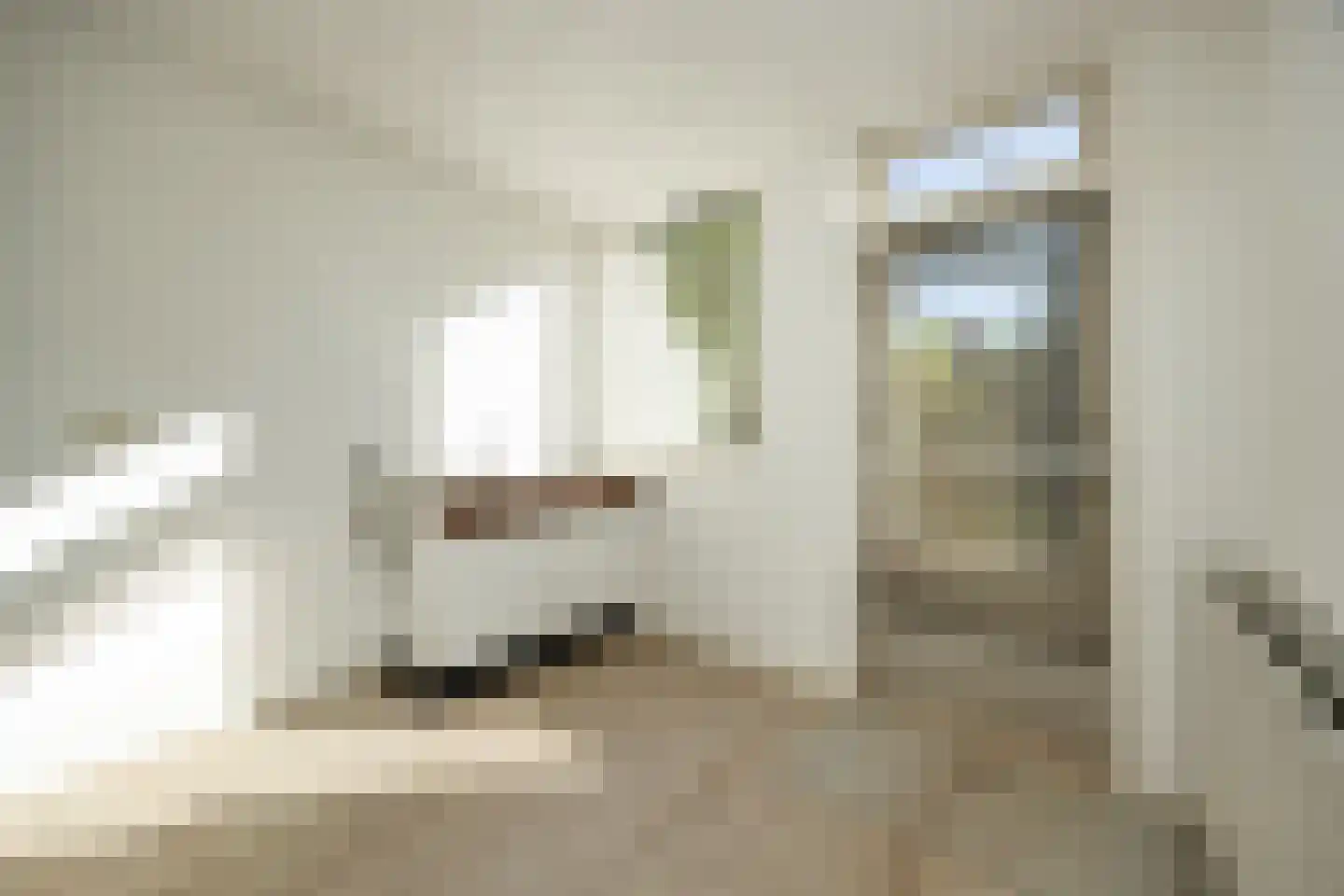 Esscheweg 145 Vught thumbnail 36