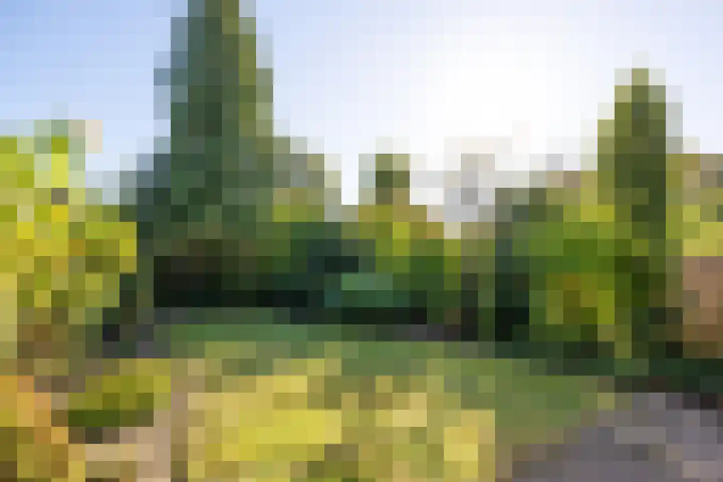 Esscheweg 145 Vught thumbnail 41