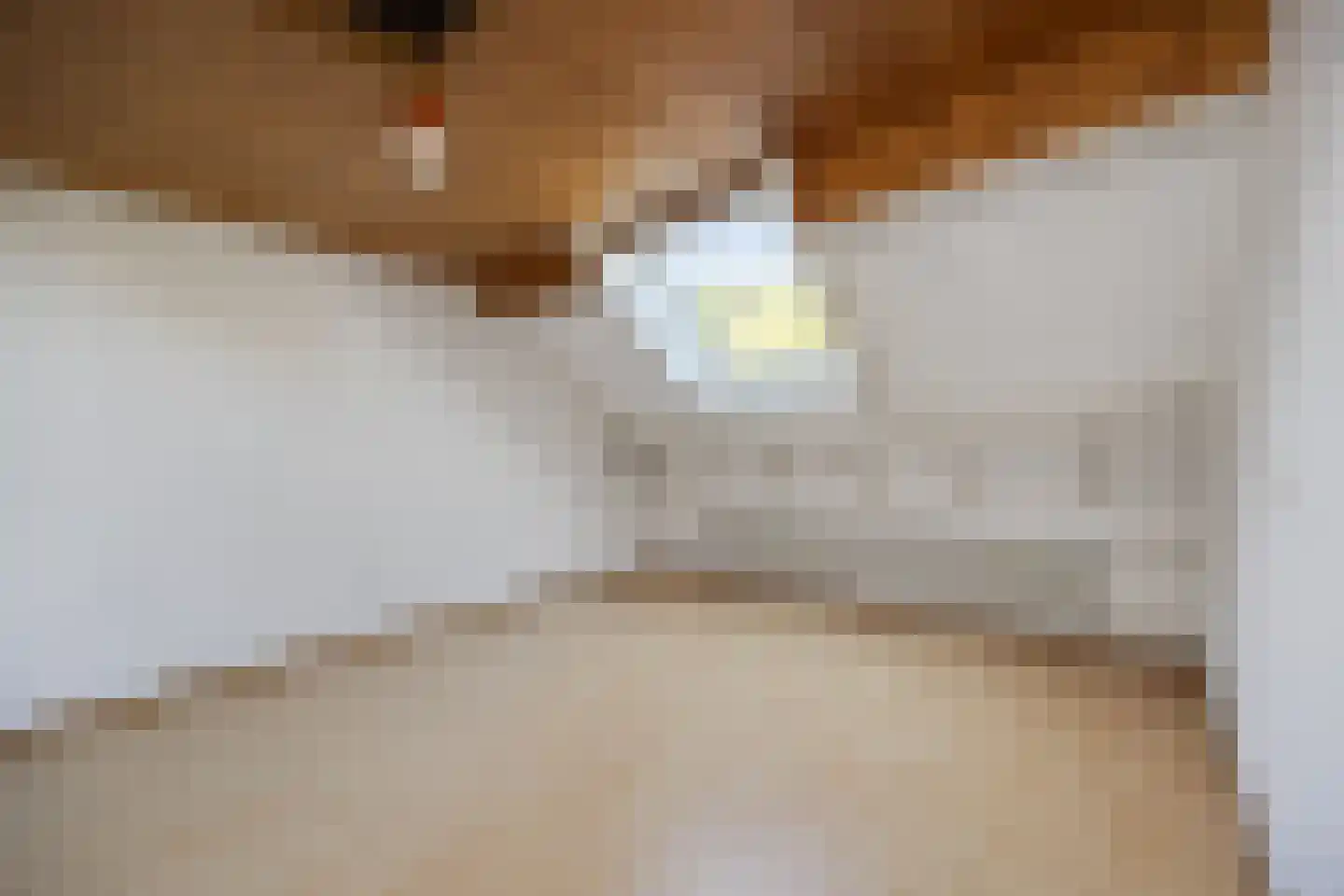 Esscheweg 145 Vught thumbnail 58