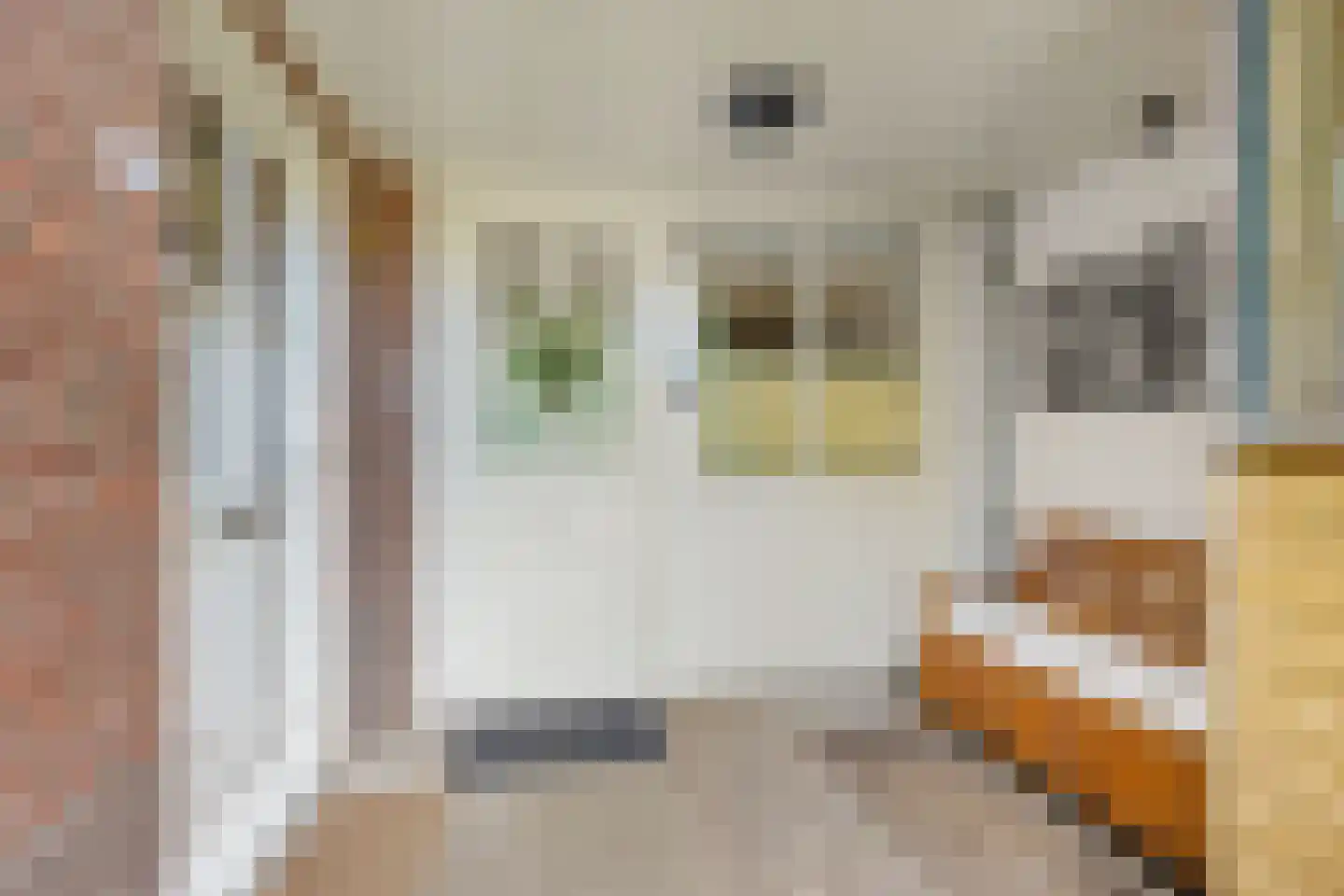 Esscheweg 176 Vught thumbnail 10