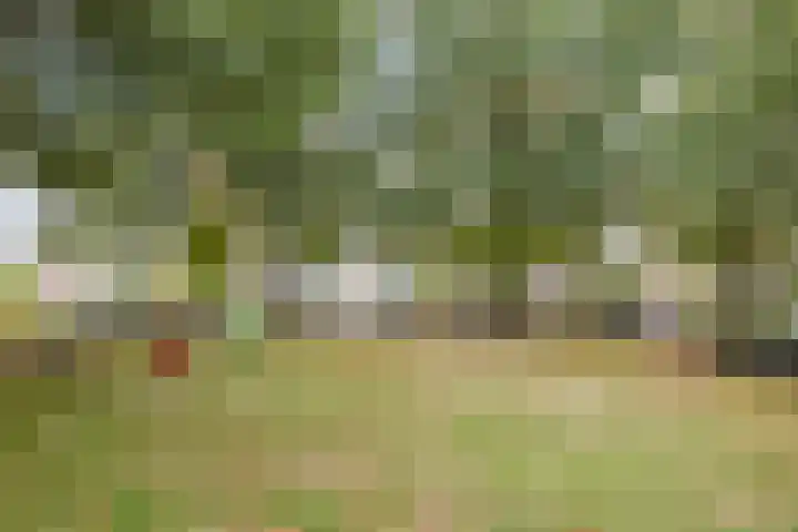 Esscheweg 194 Vught thumbnail 26