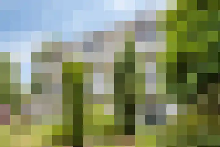 Esscheweg 198 in Vught