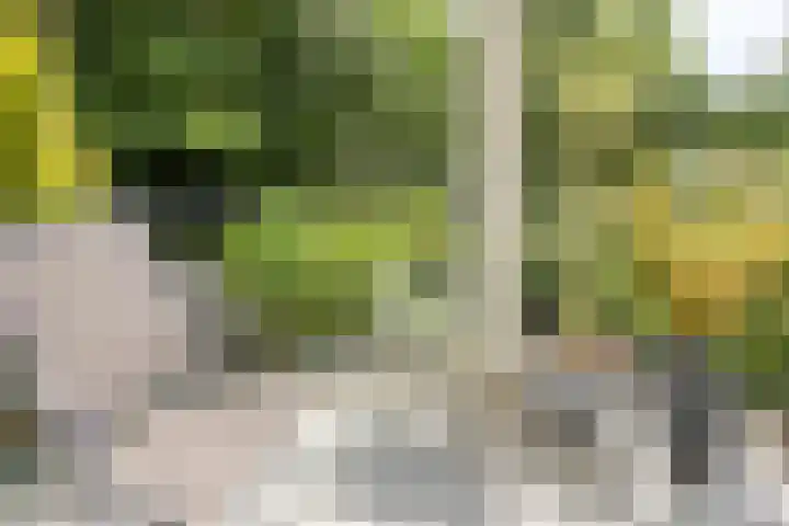 Esscheweg 198 Vught thumbnail 17