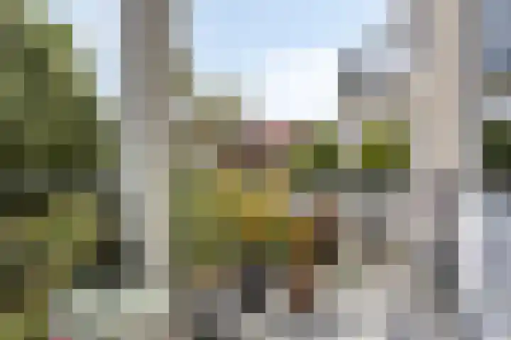 Esscheweg 198 Vught thumbnail 18