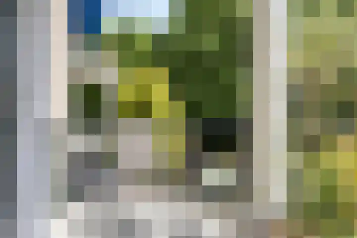 Esscheweg 198 Vught thumbnail 19