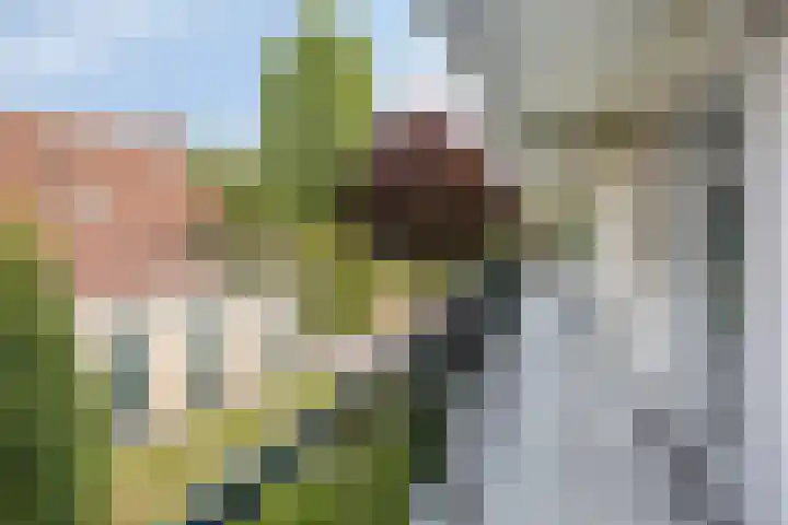 Esscheweg 198 Vught thumbnail 23