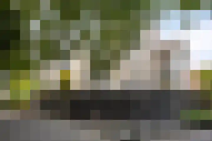 Esscheweg 198 Vught thumbnail 29