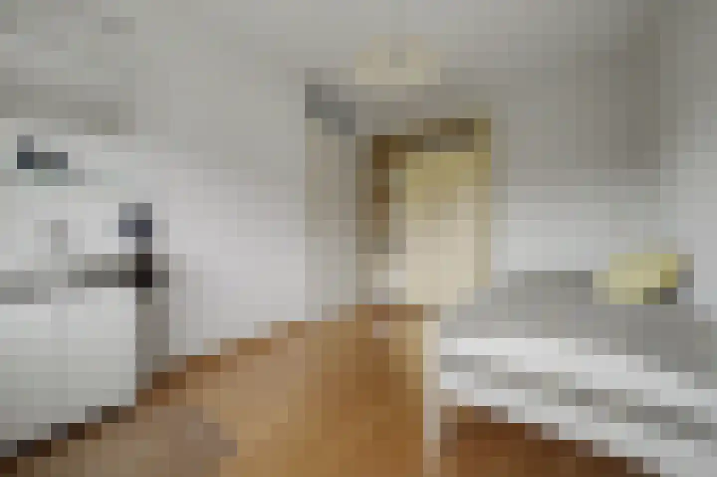 Esscheweg 214 Vught thumbnail 22