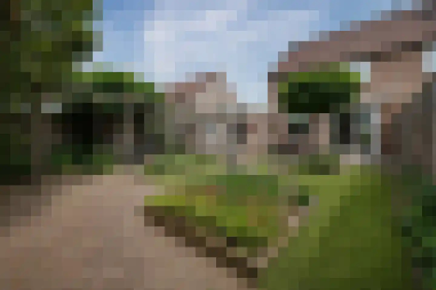 Esscheweg 214 Vught thumbnail 29