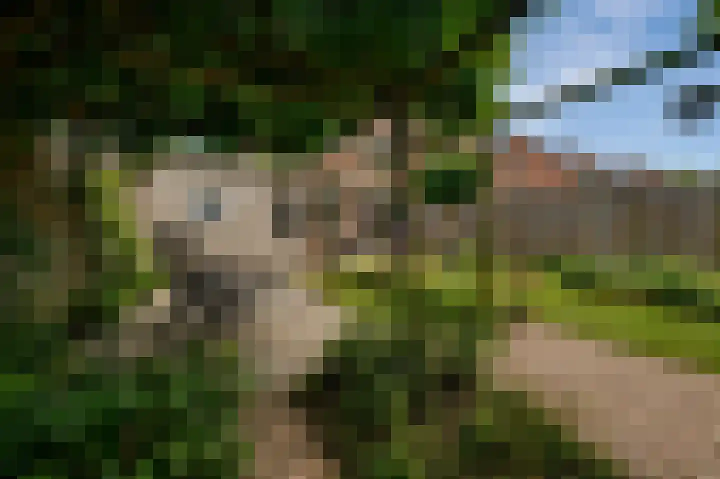 Esscheweg 214 Vught thumbnail 31