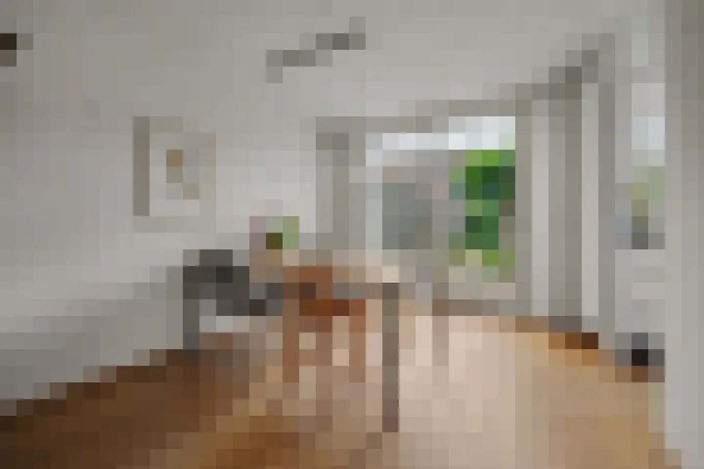 Esscheweg 214 Vught thumbnail 7