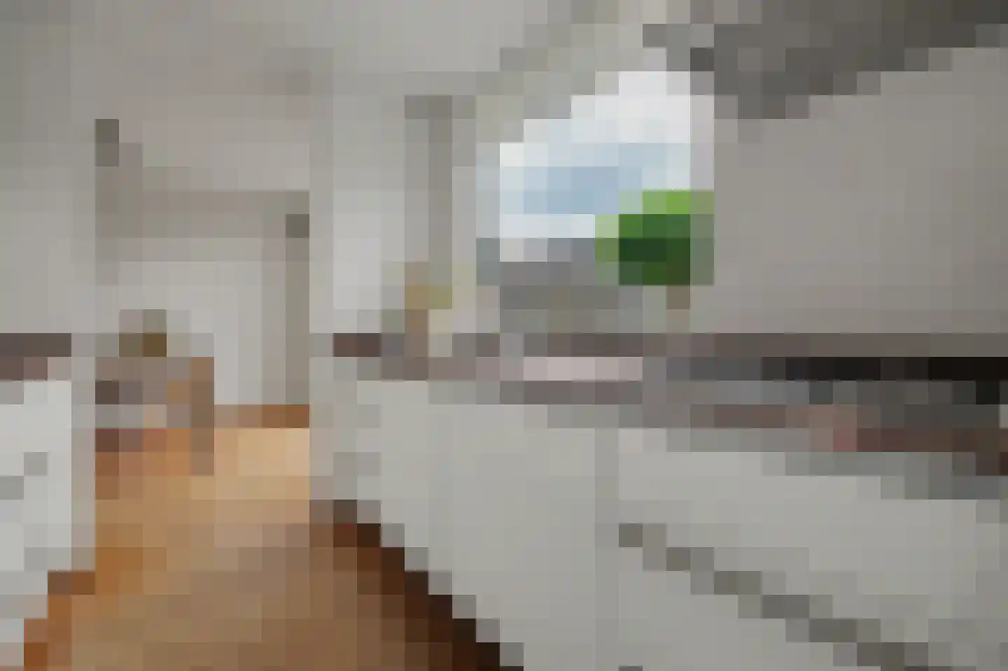 Esscheweg 214 Vught thumbnail 9