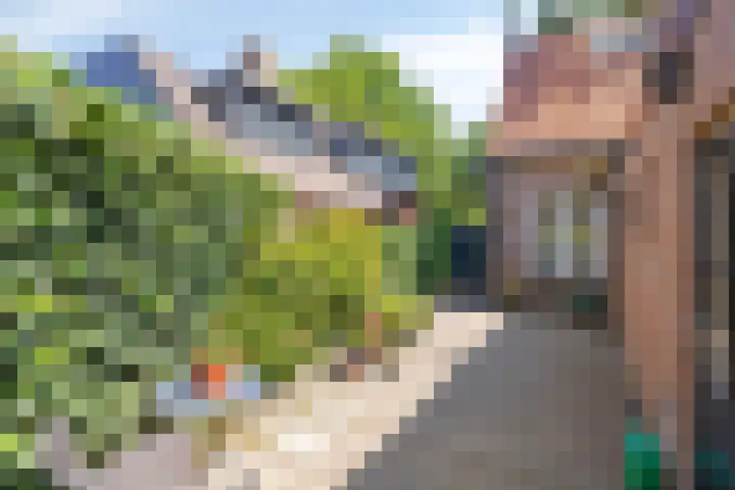 Esscheweg 26 Sint-Michielsgestel thumbnail 28