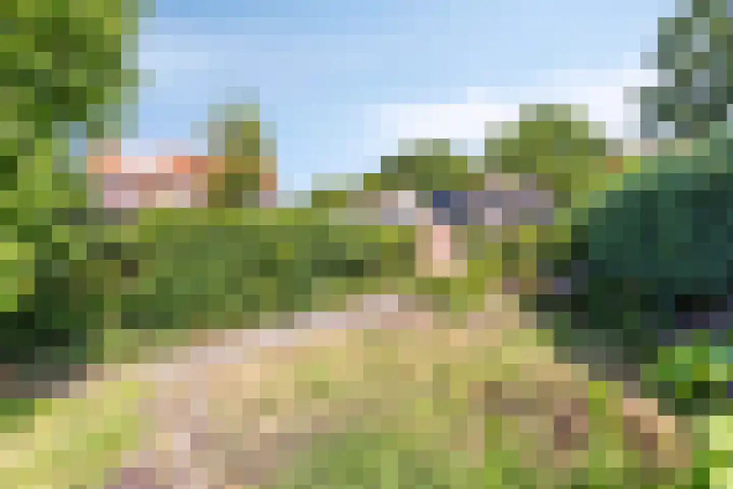 Esscheweg 26 Sint-Michielsgestel thumbnail 33
