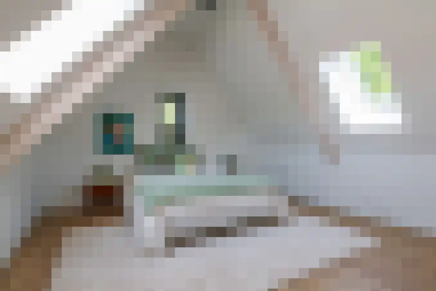 Esscheweg 266 Vught thumbnail 21